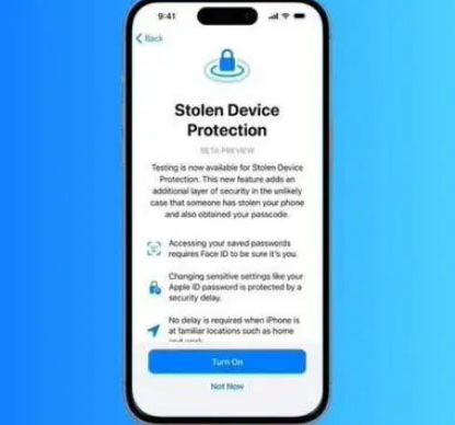 宁远苹果授权维修店分享被盗设备保护功能开启方法 