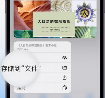 宁远apple维修中心分享iPhone文件应用中存储和找到下载文件