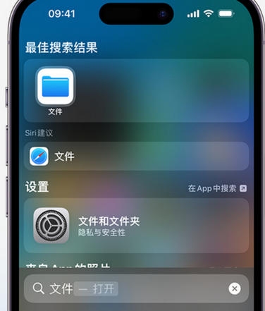 宁远apple维修中心分享iPhone文件应用中存储和找到下载文件