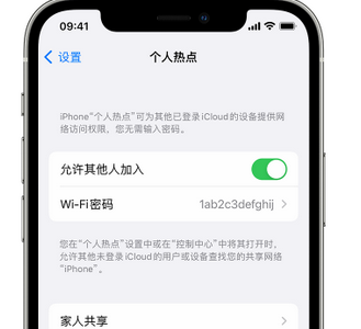 宁远apple服务站点分享iPhone上个人热点丢失了怎么办