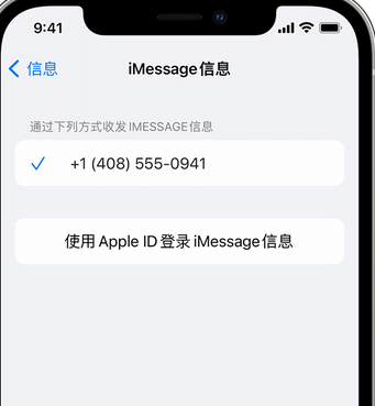 宁远apple维修iPhone上无法正常发送iMessage信息 