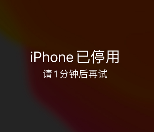 宁远苹果手机维修分享:iPhone 显示“不可用”或“已停用”怎么办？还能保留数据吗？ 