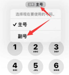 宁远苹果14维修店分享iPhone 14 Pro Max使用副卡打电话的方法 