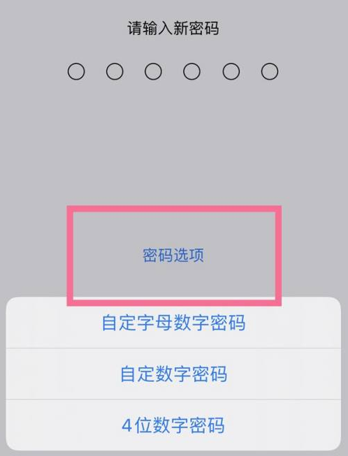 宁远苹果14维修分享iPhone 14plus设置密码的方法 