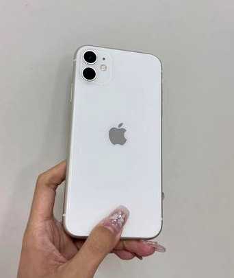 宁远苹果维修点分享iPhone 11黑屏特殊场景解析 